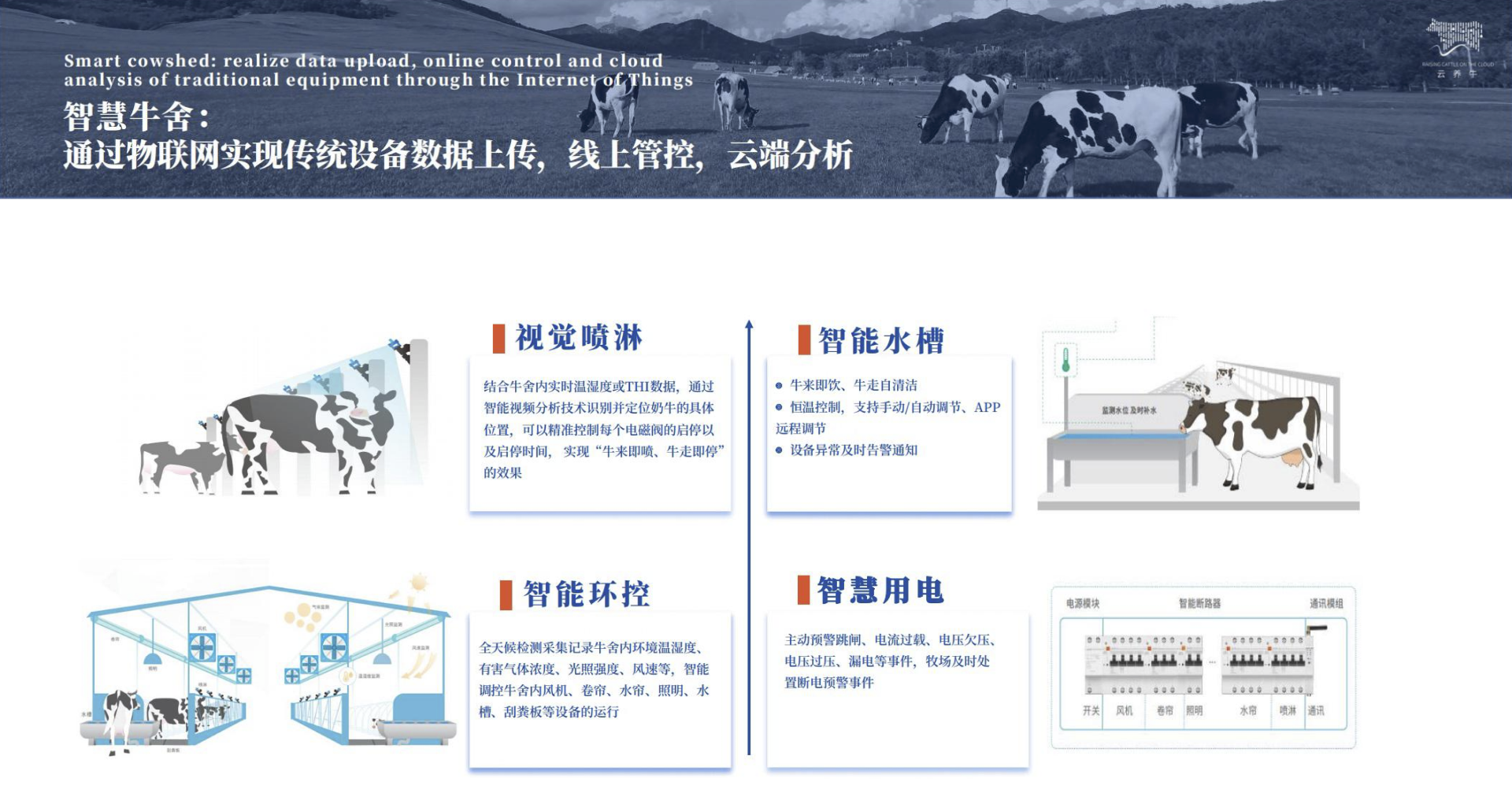 云养牛官网